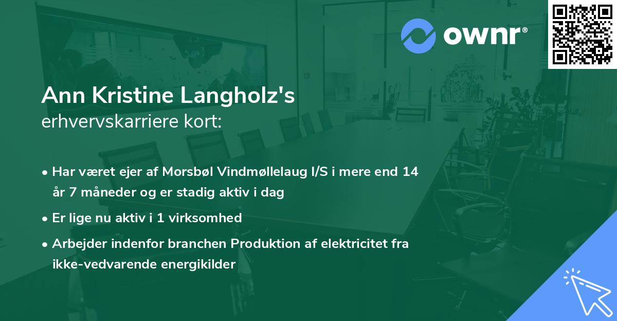 Ann Kristine Langholz's erhvervskarriere kort