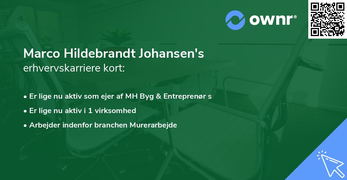 Marco Hildebrandt Johansen's erhvervskarriere kort