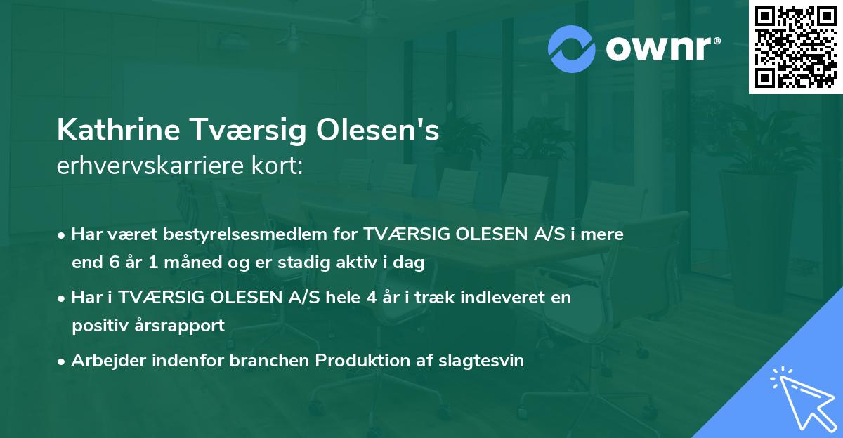 Kathrine Tværsig Olesen's erhvervskarriere kort