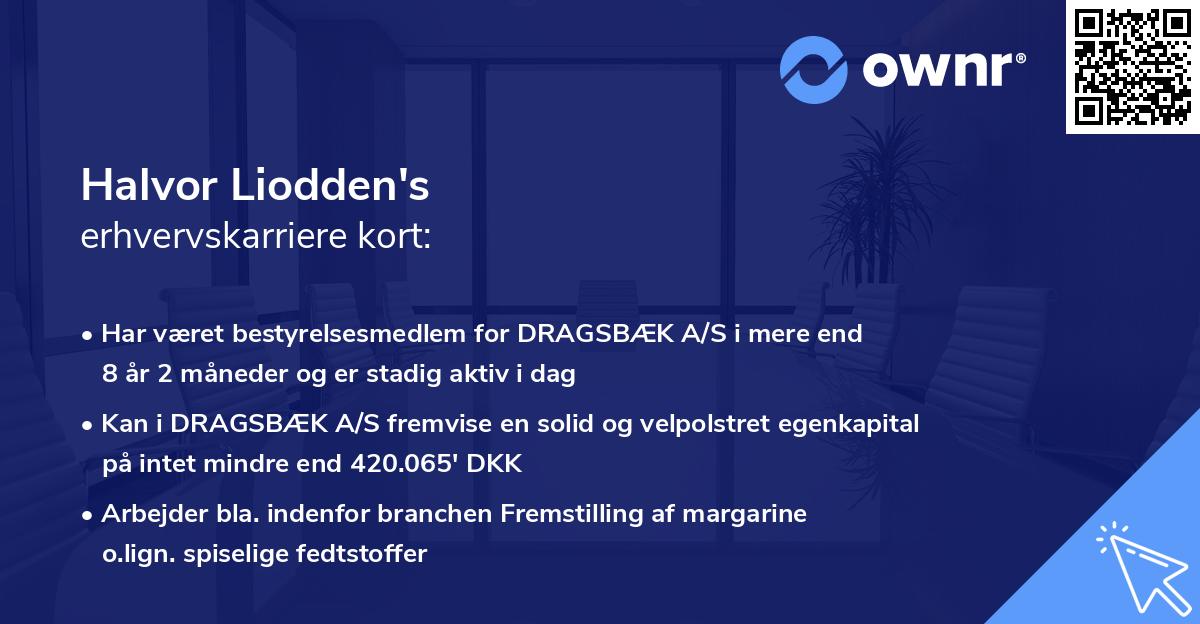 Halvor Liodden's erhvervskarriere kort