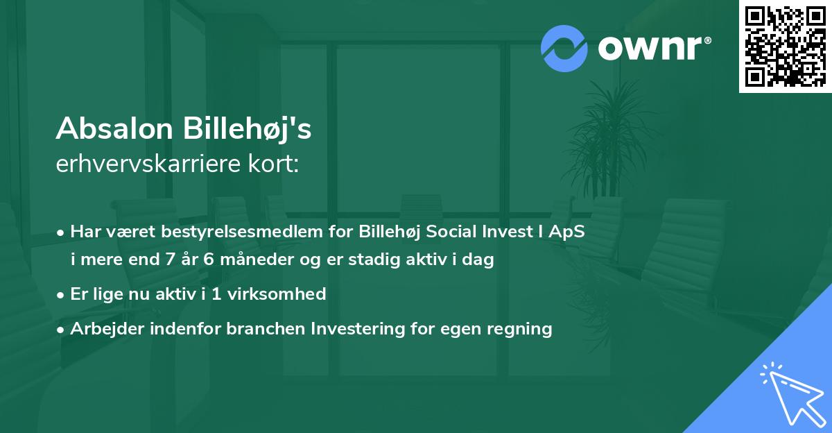 Absalon Billehøj's erhvervskarriere kort