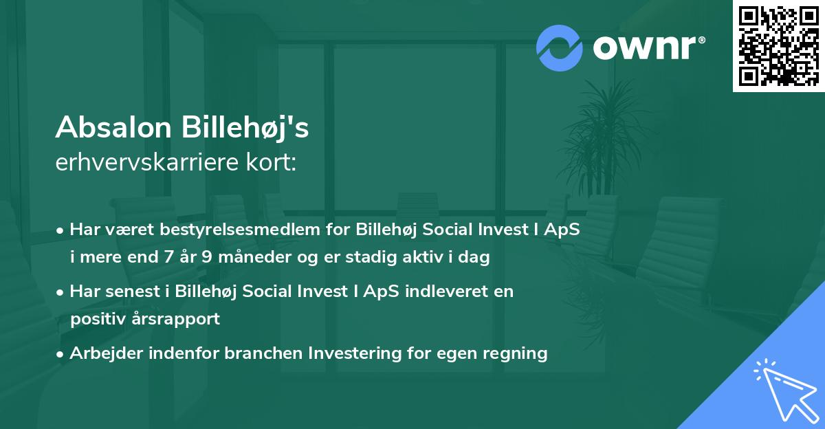 Absalon Billehøj's erhvervskarriere kort