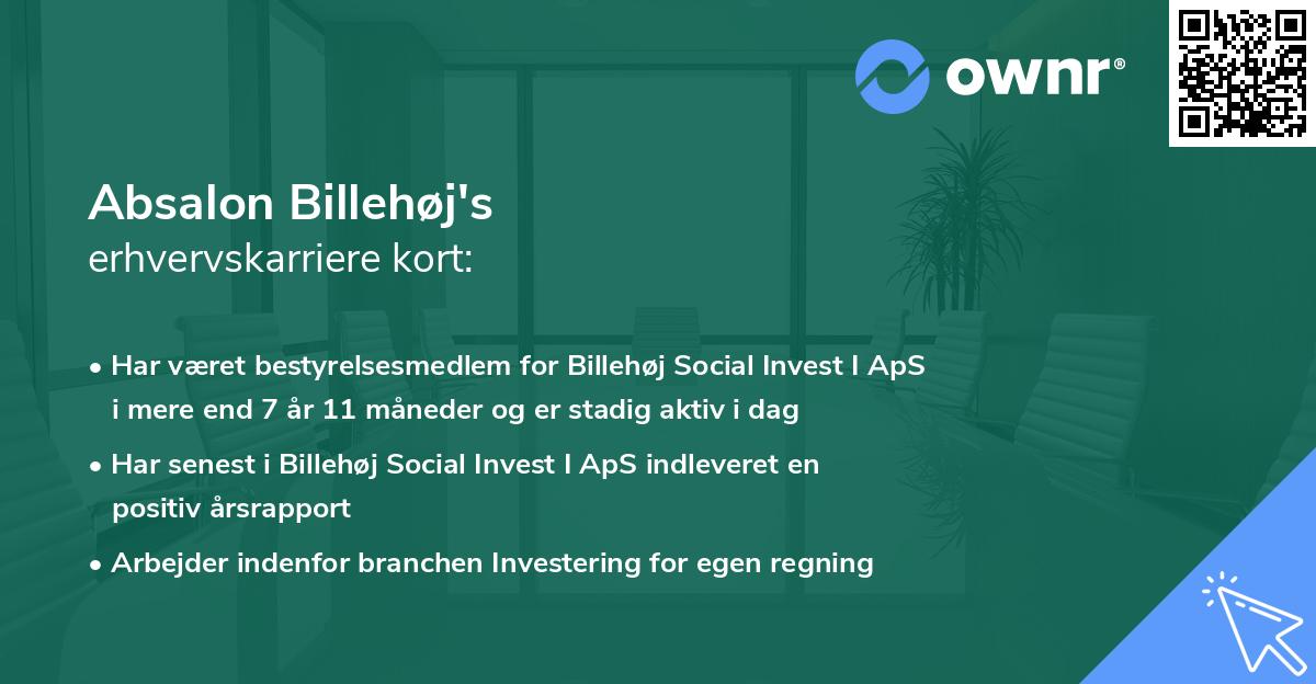 Absalon Billehøj's erhvervskarriere kort