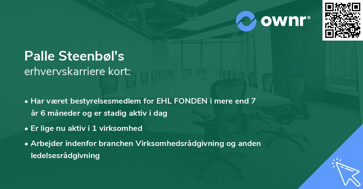 Palle Steenbøl's erhvervskarriere kort