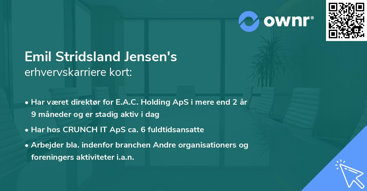 Emil Stridsland Jensen's erhvervskarriere kort