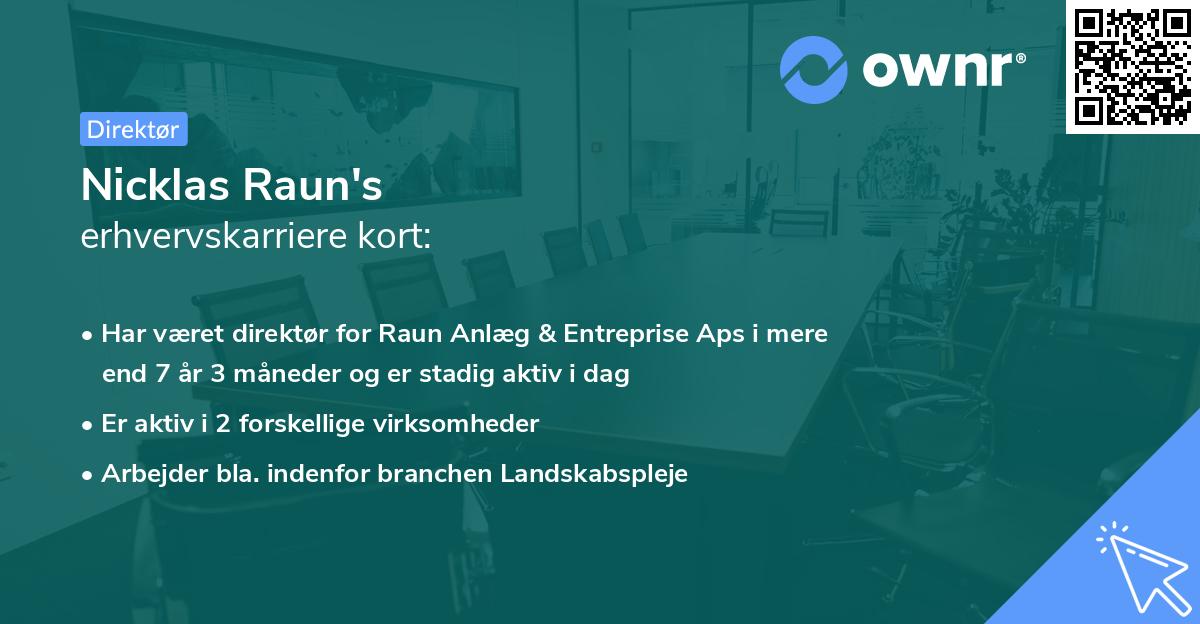 Nicklas Raun's erhvervskarriere kort