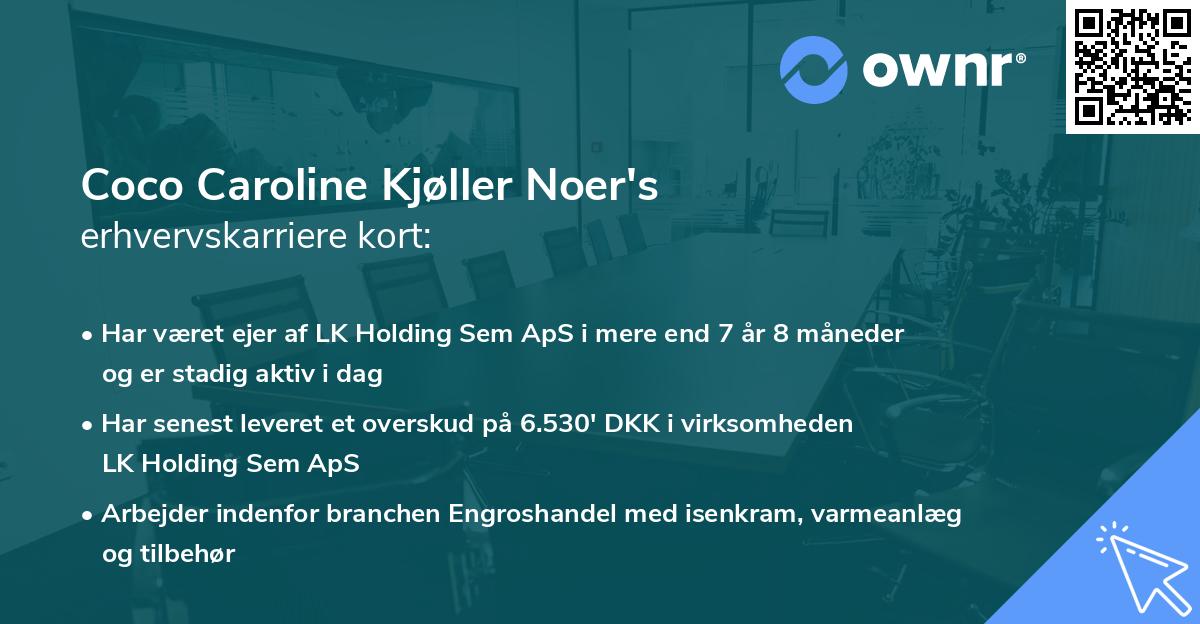 Coco Caroline Kjøller Noer's erhvervskarriere kort
