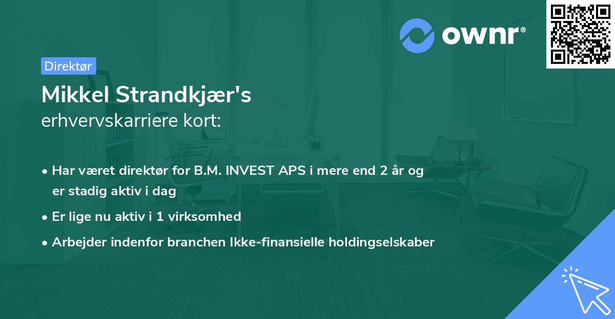 Mikkel Strandkjær's erhvervskarriere kort