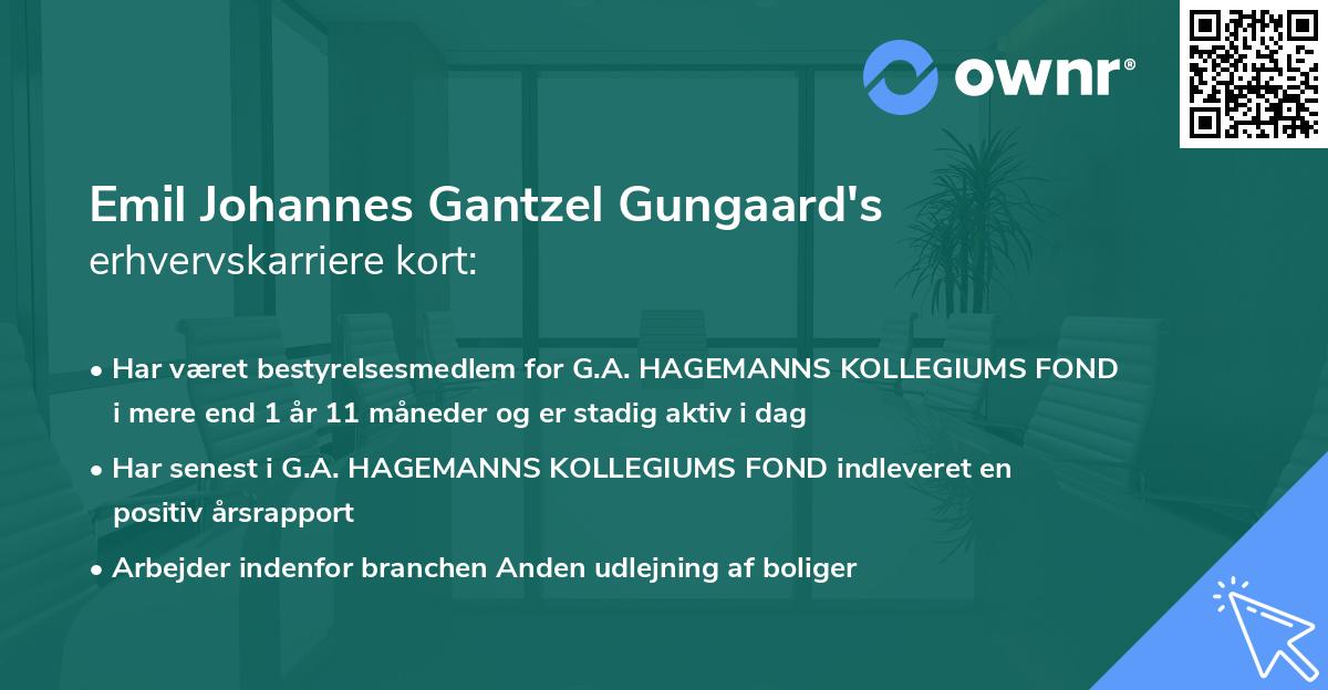 Emil Johannes Gantzel Gungaard's erhvervskarriere kort