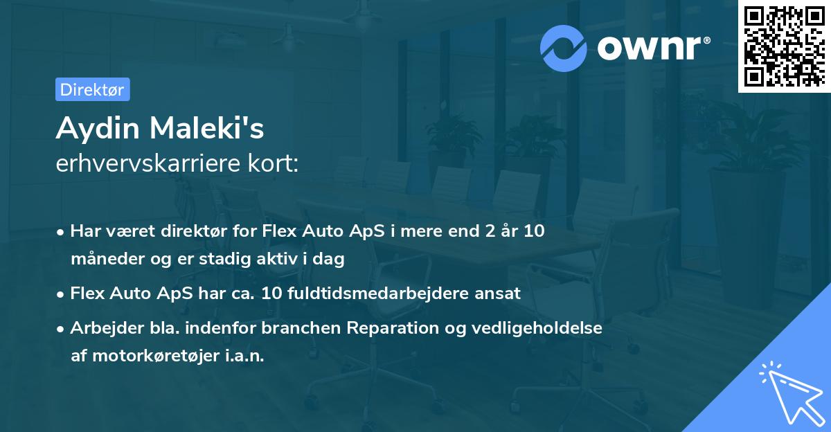 Aydin Maleki's erhvervskarriere kort