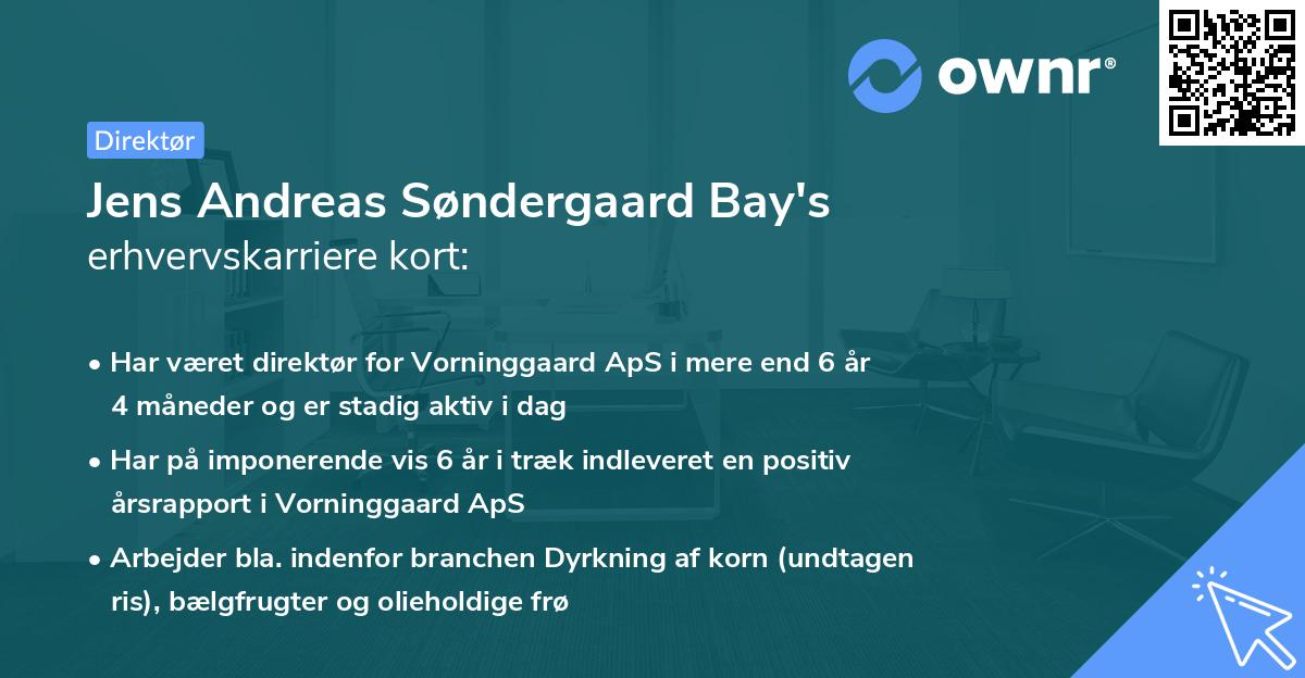 Jens Andreas Søndergaard Bay's erhvervskarriere kort