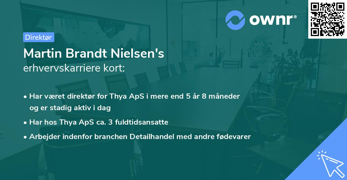 Martin Brandt Nielsen's erhvervskarriere kort