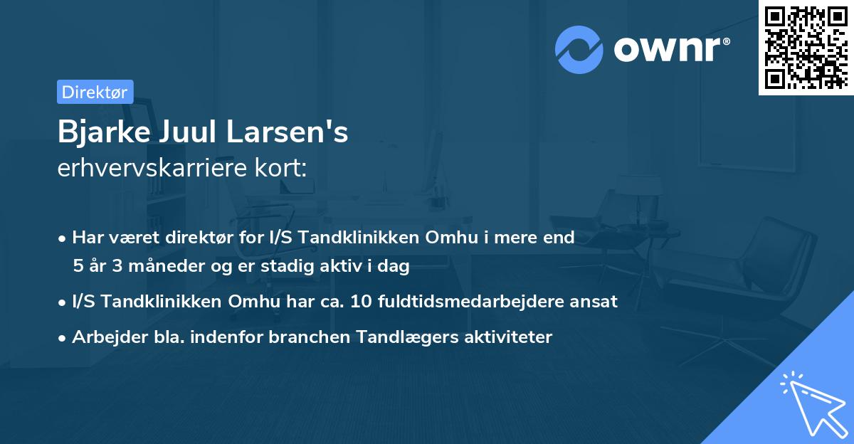 Bjarke Juul Larsen's erhvervskarriere kort