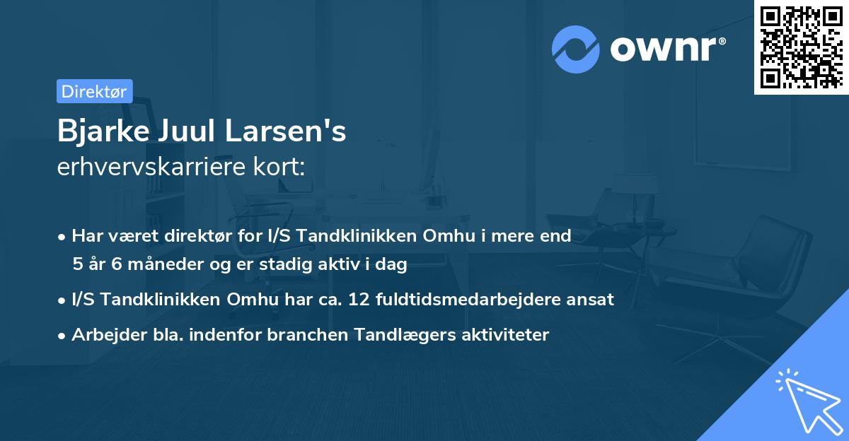 Bjarke Juul Larsen's erhvervskarriere kort