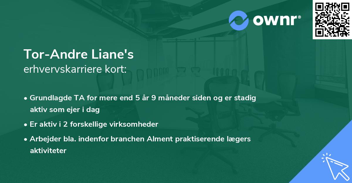 Tor-Andre Liane's erhvervskarriere kort