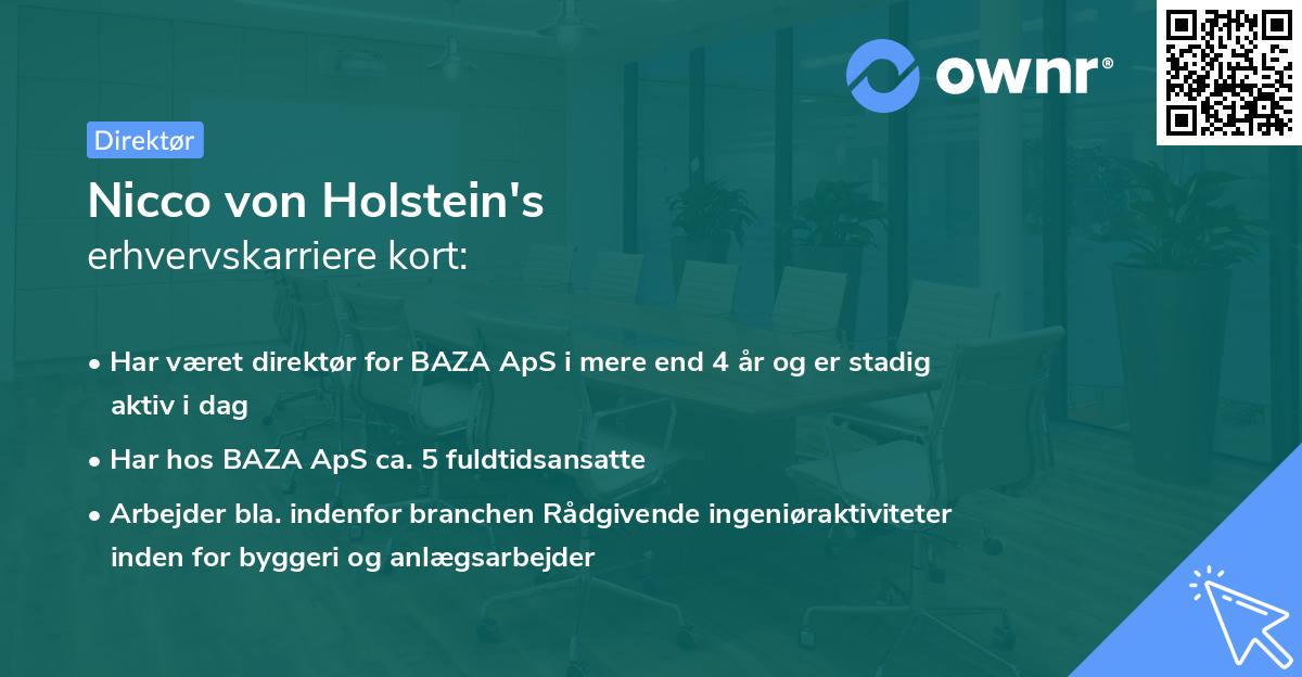Nicco von Holstein's erhvervskarriere kort