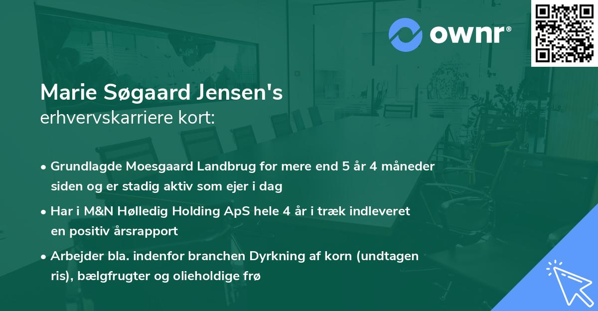 Marie Søgaard Jensen's erhvervskarriere kort