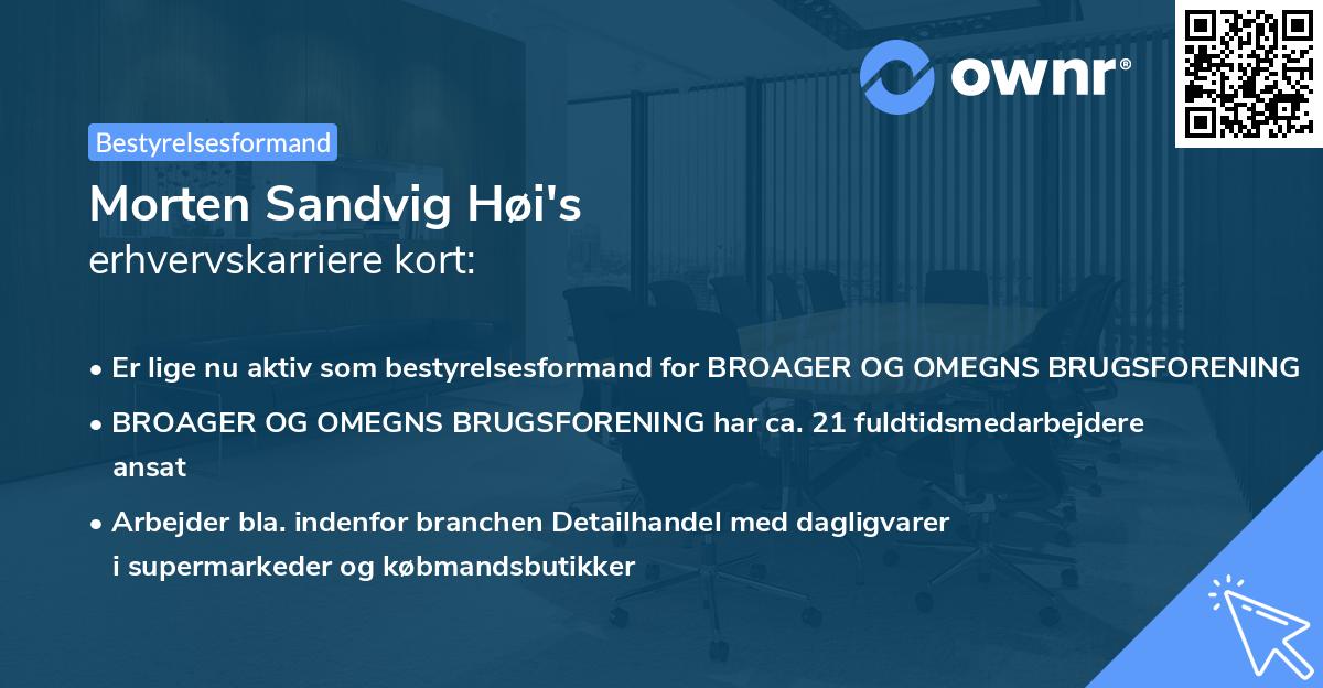 Morten Sandvig Høi's erhvervskarriere kort