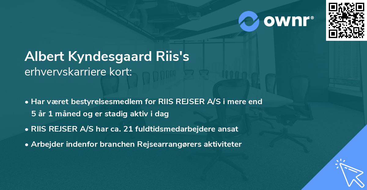 Albert Kyndesgaard Riis's erhvervskarriere kort