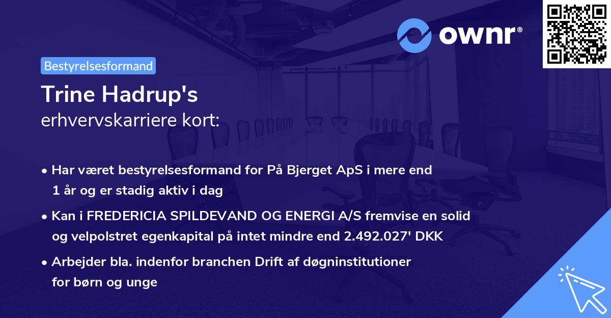 Trine Hadrup's erhvervskarriere kort