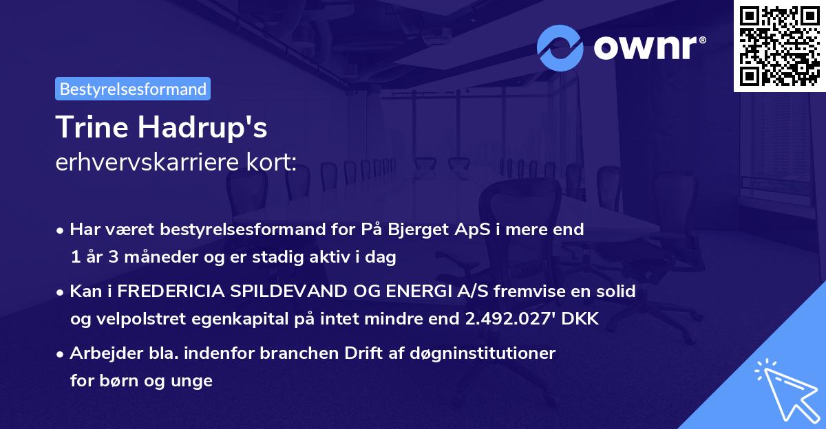 Trine Hadrup's erhvervskarriere kort