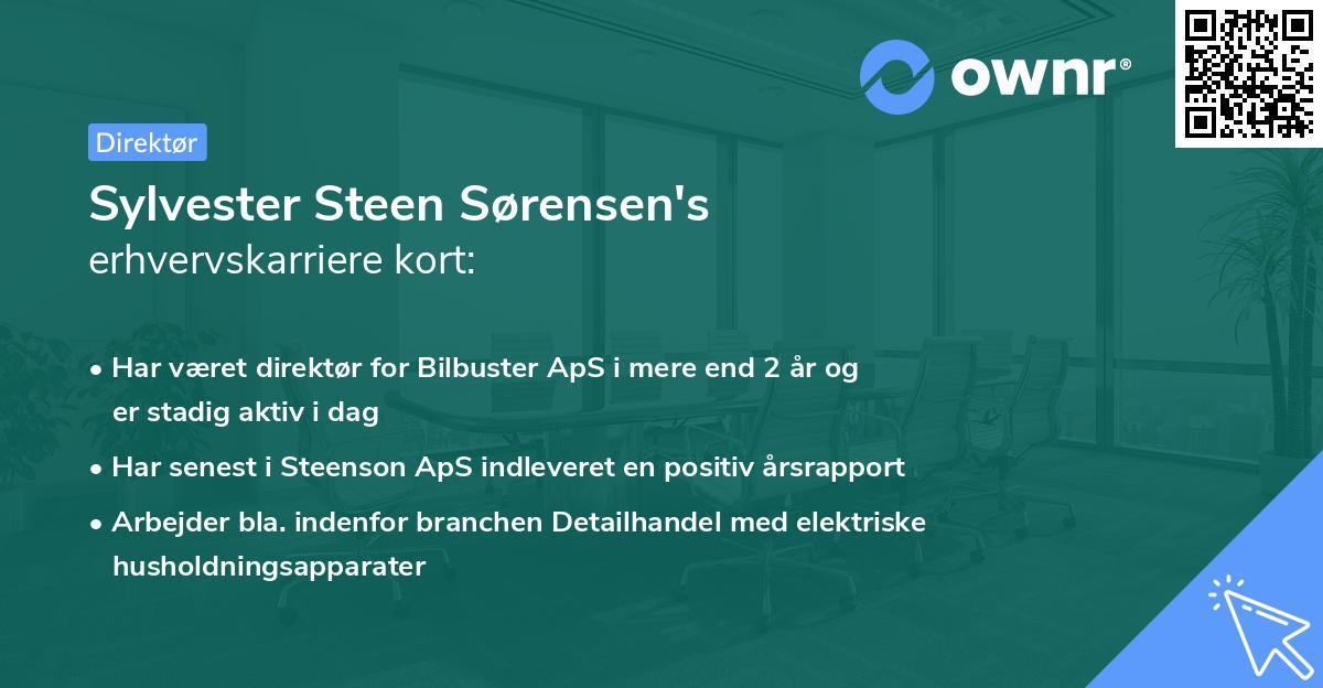 Sylvester Steen Sørensen's erhvervskarriere kort