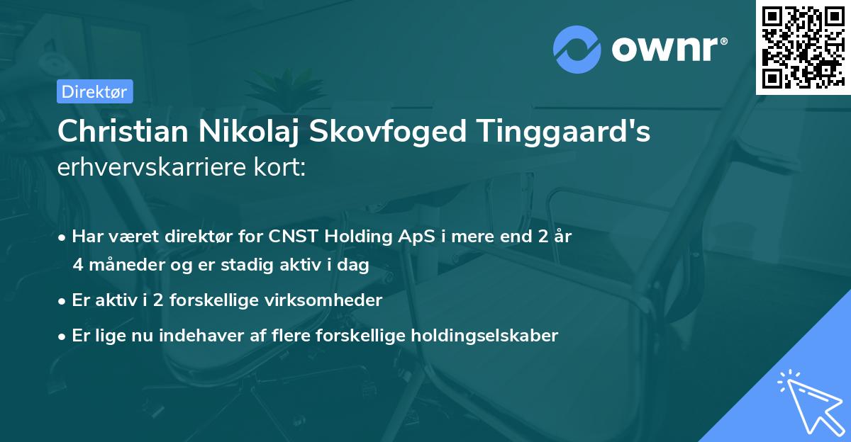 Christian Nikolaj Skovfoged Tinggaard's erhvervskarriere kort
