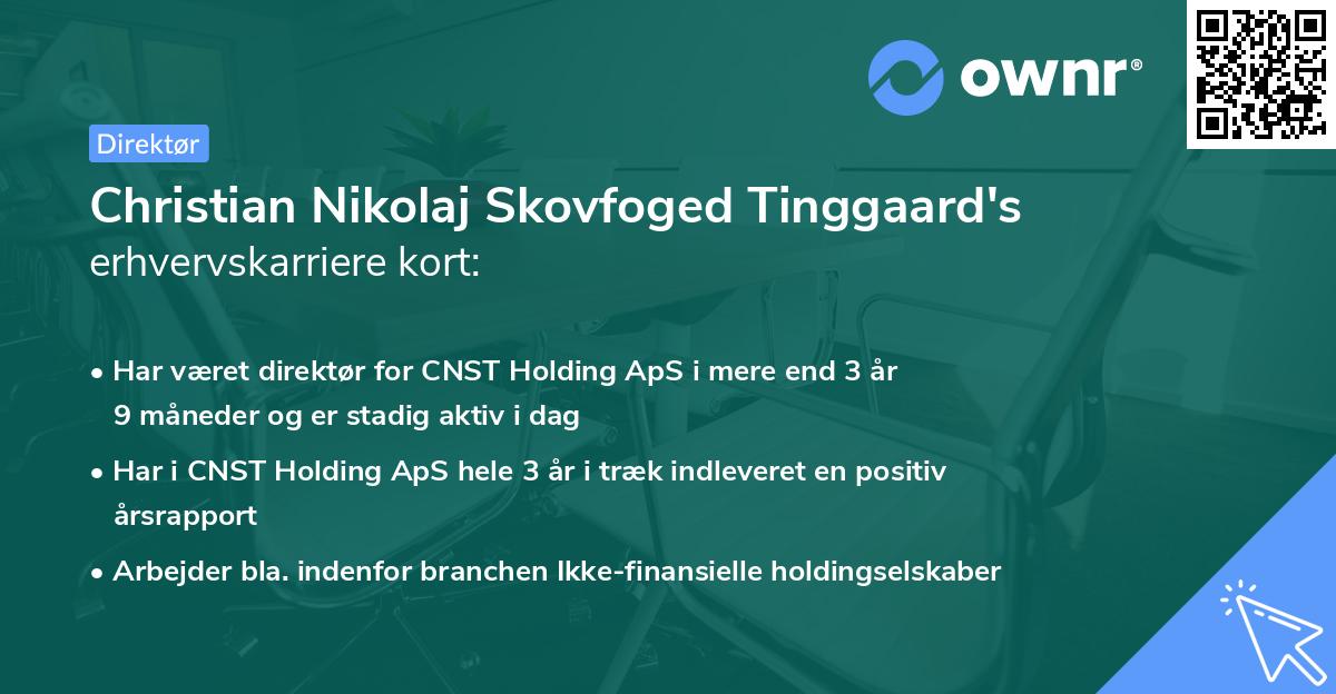 Christian Nikolaj Skovfoged Tinggaard's erhvervskarriere kort
