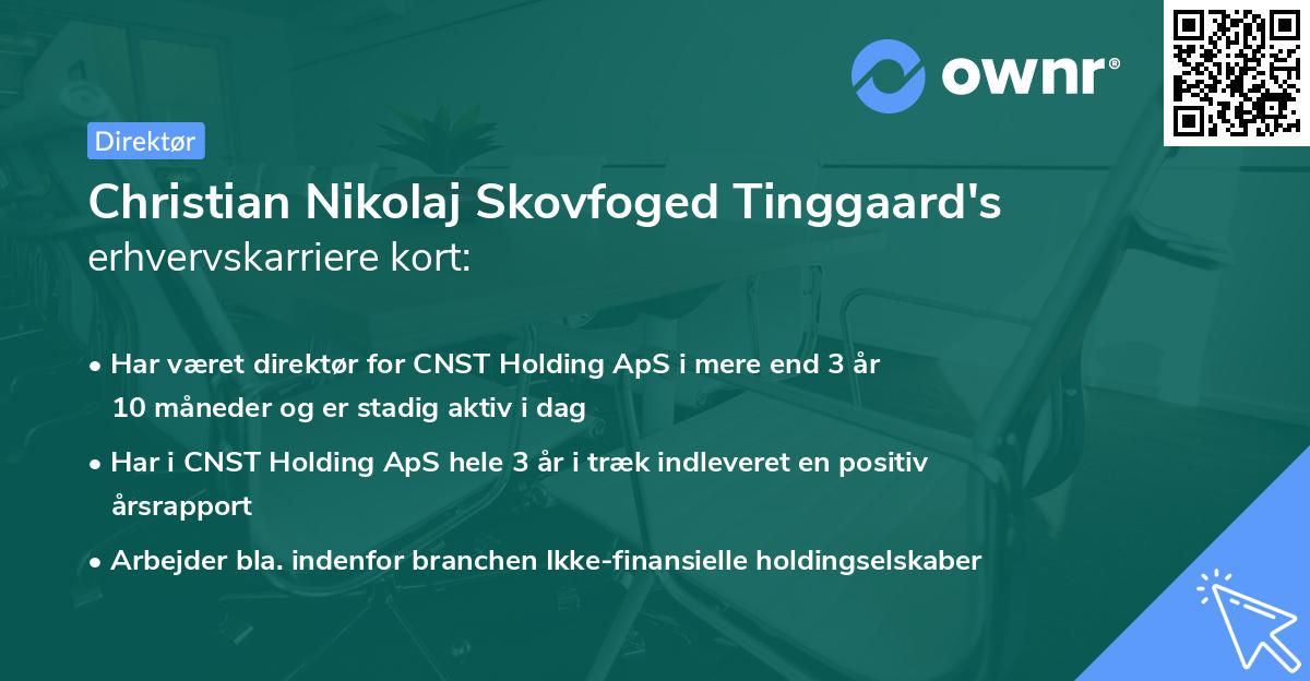Christian Nikolaj Skovfoged Tinggaard's erhvervskarriere kort