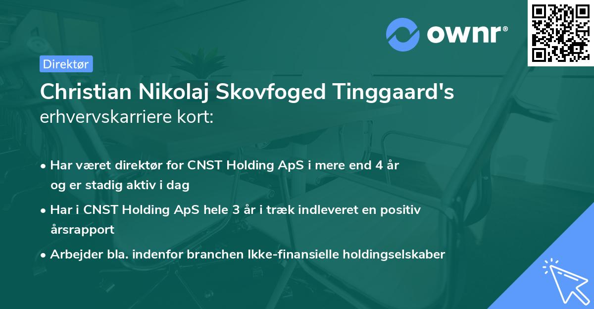 Christian Nikolaj Skovfoged Tinggaard's erhvervskarriere kort