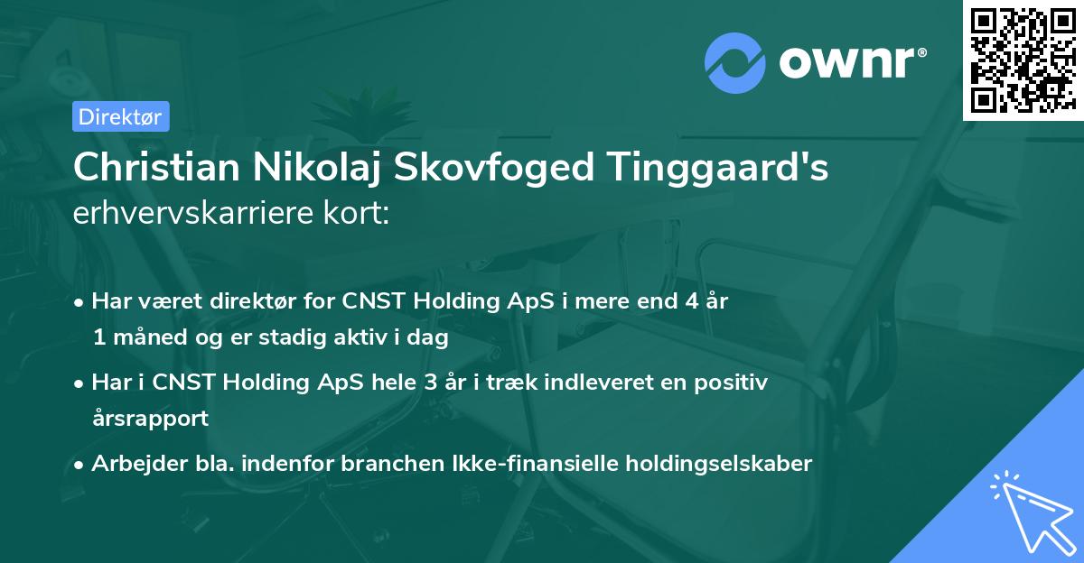 Christian Nikolaj Skovfoged Tinggaard's erhvervskarriere kort