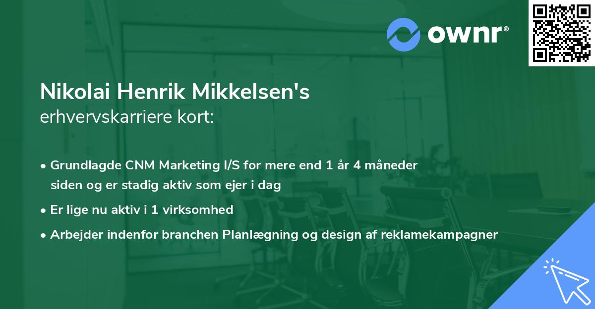 Nikolai Henrik Mikkelsen's erhvervskarriere kort