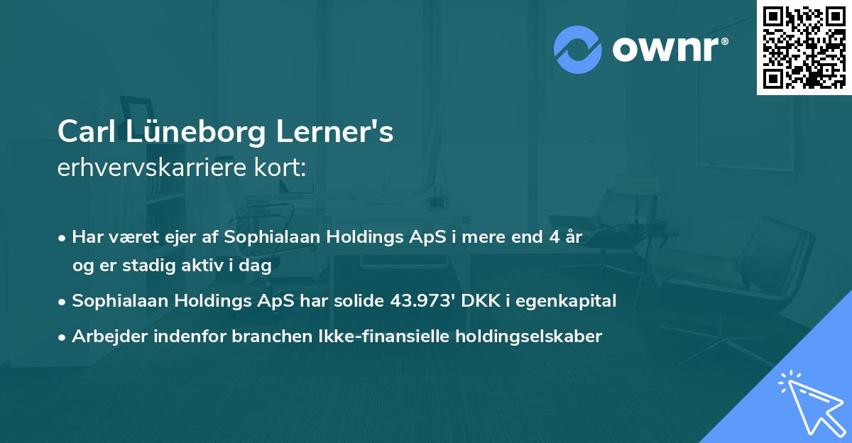 Carl Lüneborg Lerner's erhvervskarriere kort