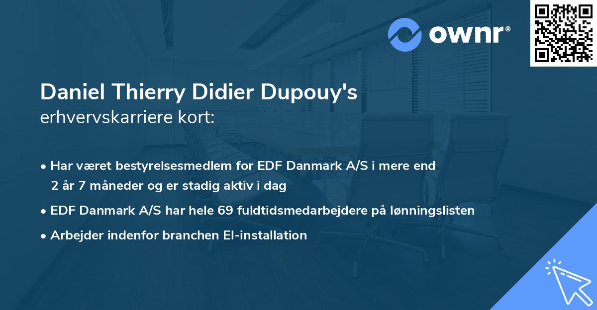 Daniel Thierry Didier Dupouy's erhvervskarriere kort