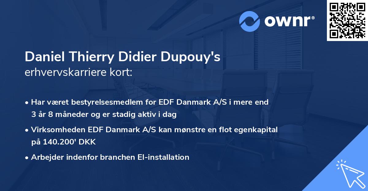 Daniel Thierry Didier Dupouy's erhvervskarriere kort