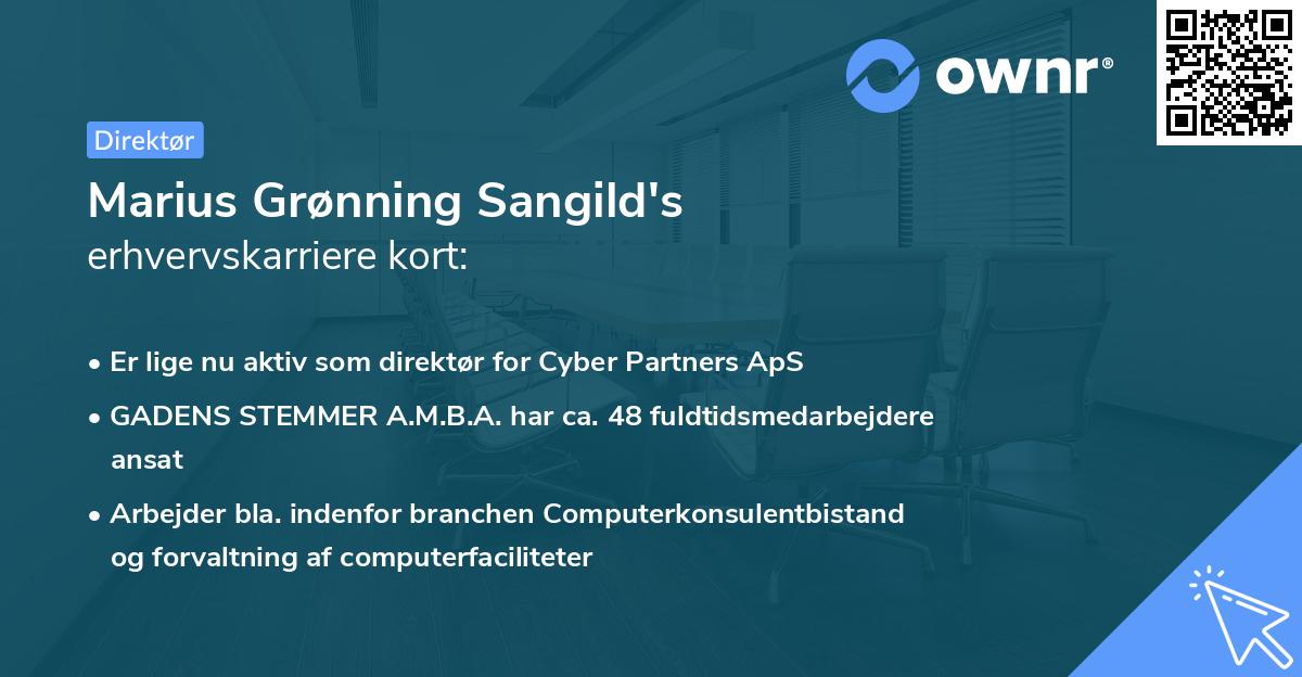 Marius Grønning Sangild's erhvervskarriere kort