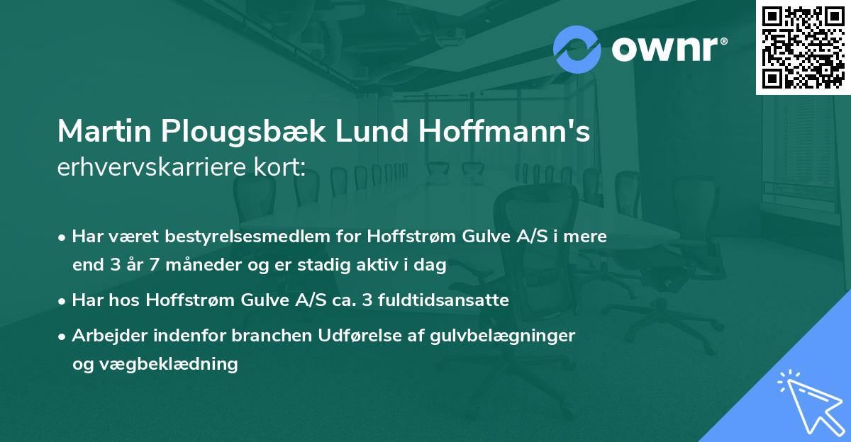 Martin Plougsbæk Lund Hoffmann's erhvervskarriere kort