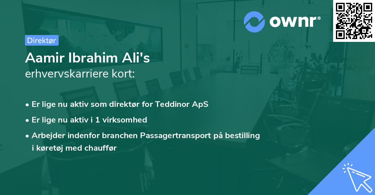 Aamir Ibrahim Ali's erhvervskarriere kort
