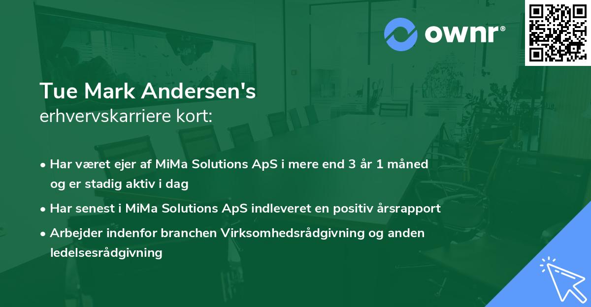 Tue Mark Andersen's erhvervskarriere kort