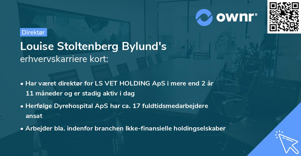 Louise Stoltenberg Bylund's erhvervskarriere kort