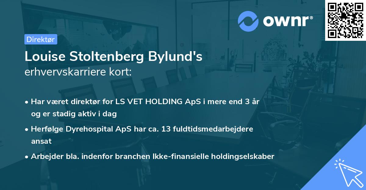 Louise Stoltenberg Bylund's erhvervskarriere kort