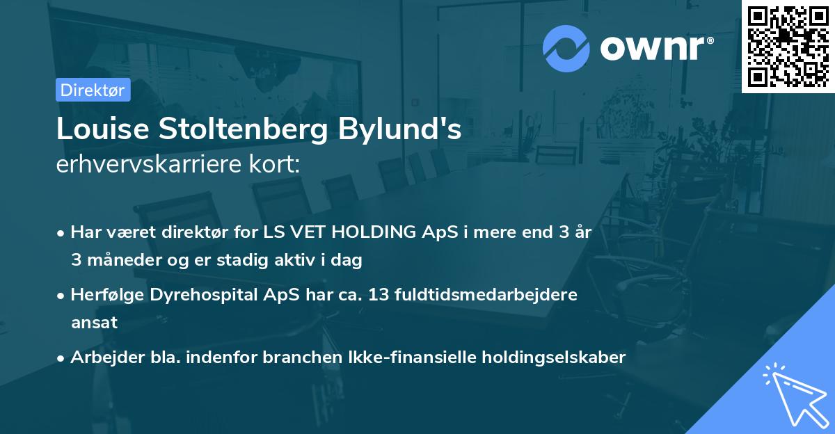 Louise Stoltenberg Bylund's erhvervskarriere kort