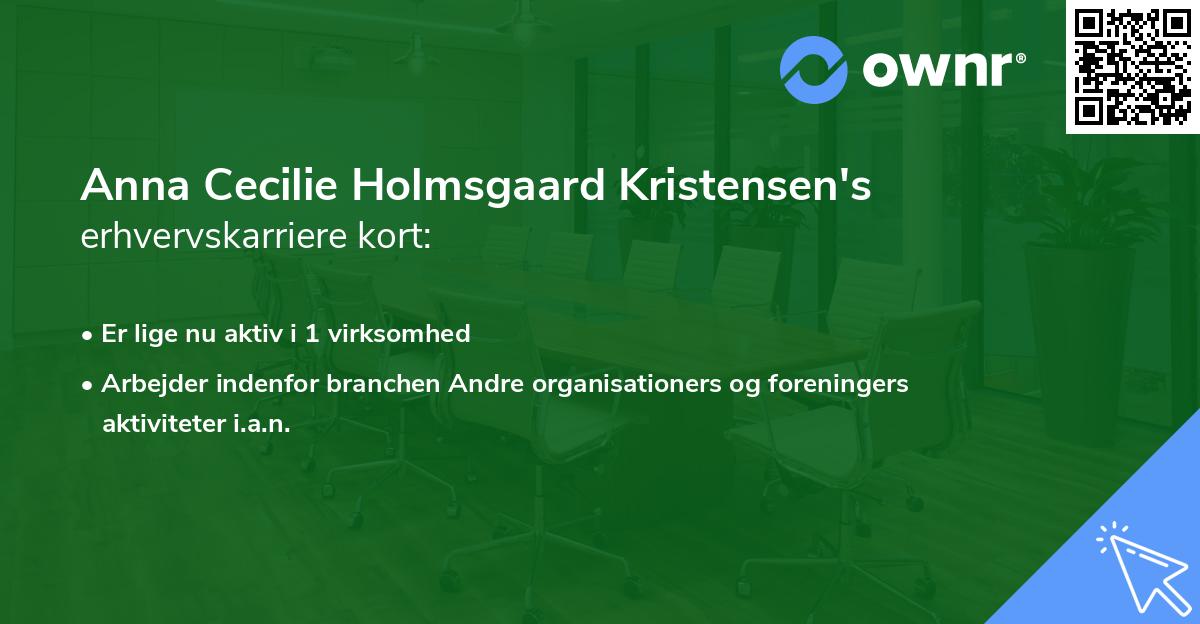 Anna Cecilie Holmsgaard Kristensen's erhvervskarriere kort