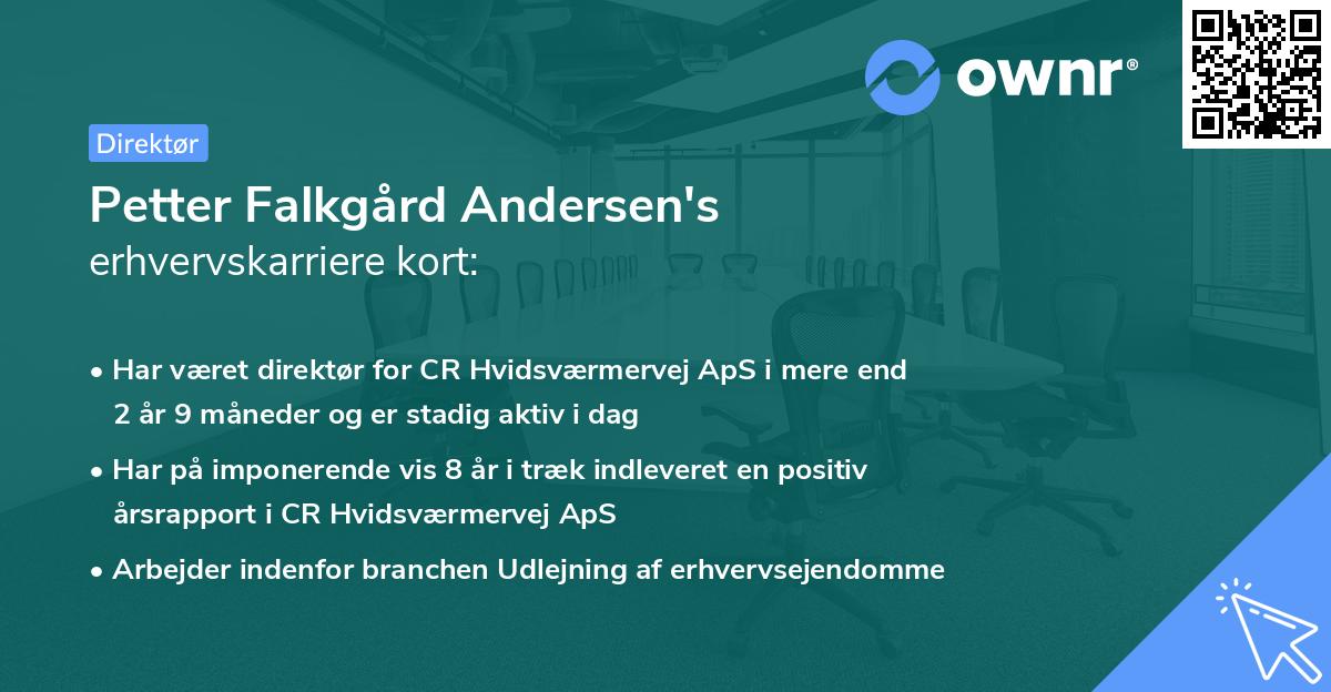 Petter Falkgård Andersen's erhvervskarriere kort