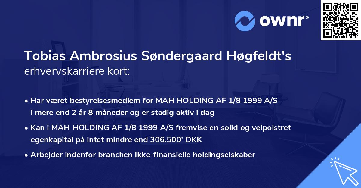 Tobias Ambrosius Søndergaard Høgfeldt's erhvervskarriere kort