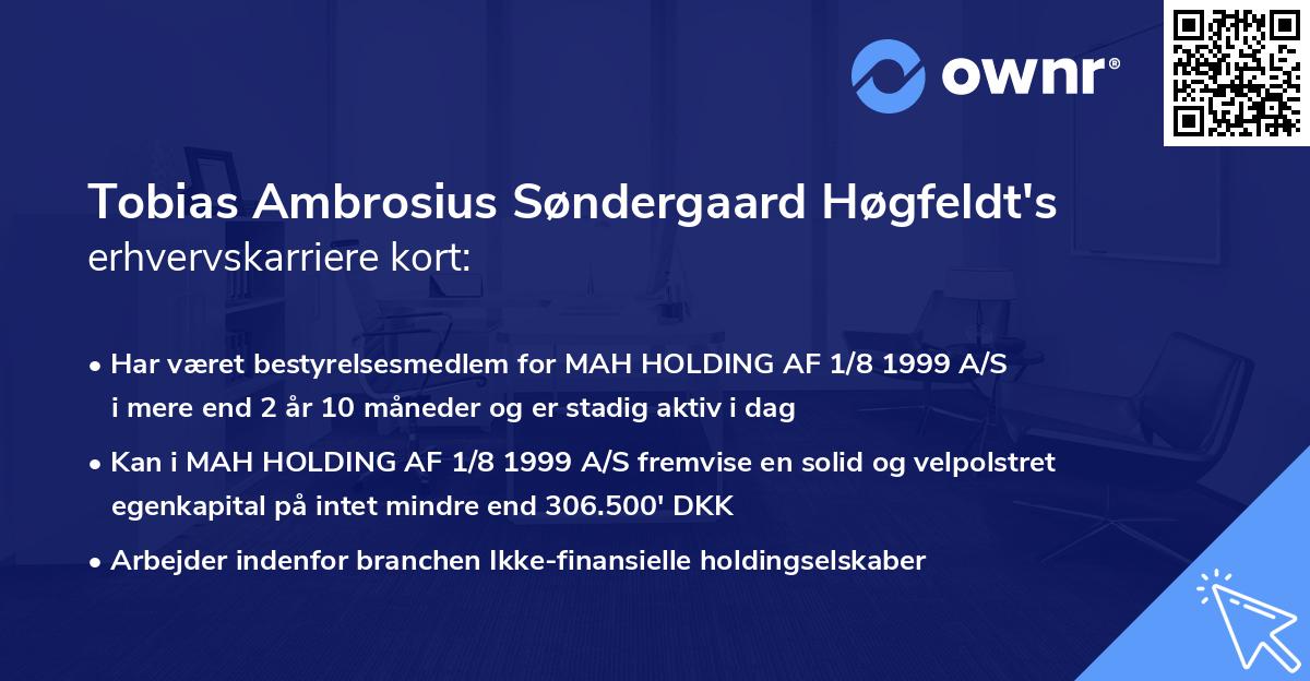 Tobias Ambrosius Søndergaard Høgfeldt's erhvervskarriere kort