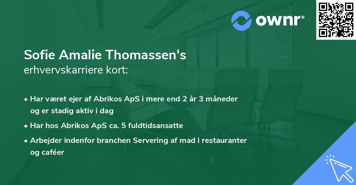 Sofie Amalie Thomassen's erhvervskarriere kort
