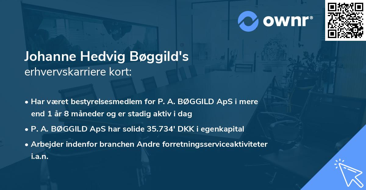 Johanne Hedvig Bøggild's erhvervskarriere kort