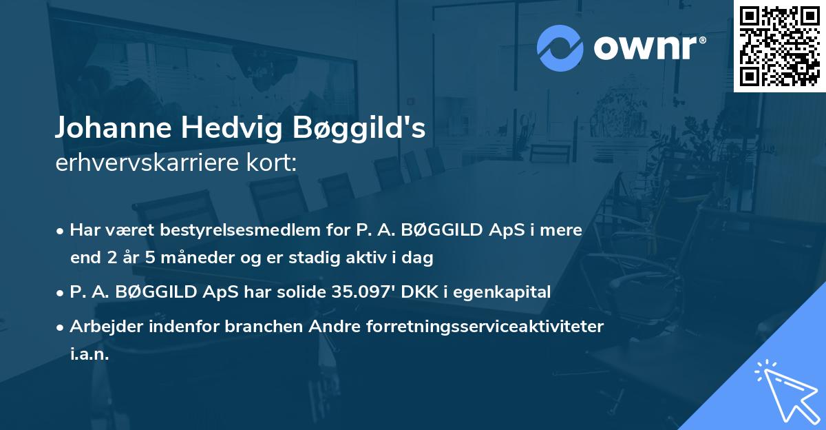 Johanne Hedvig Bøggild's erhvervskarriere kort