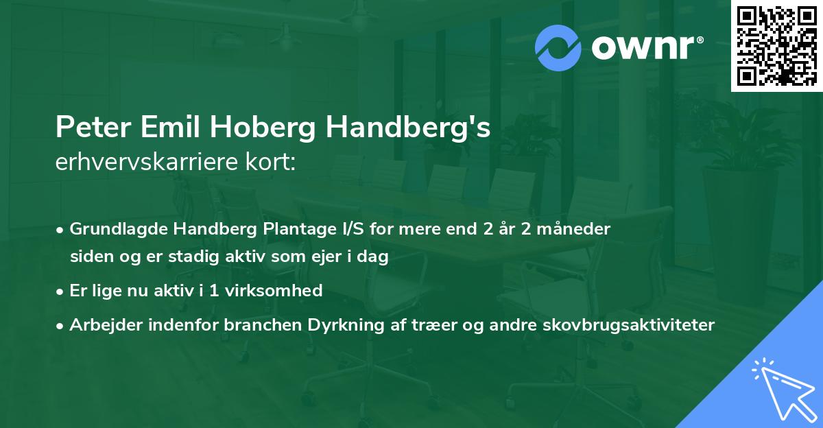 Peter Emil Hoberg Handberg's erhvervskarriere kort